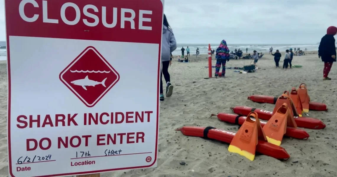 Walton County Shark Attacks