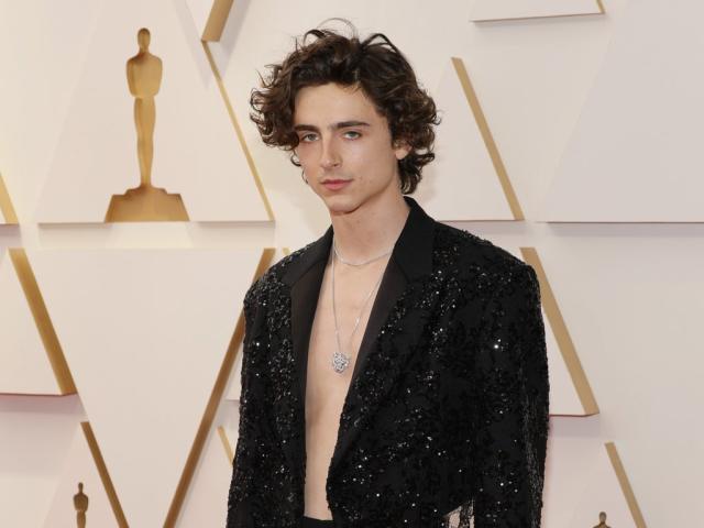 Timothée Chalamet fashion and projects